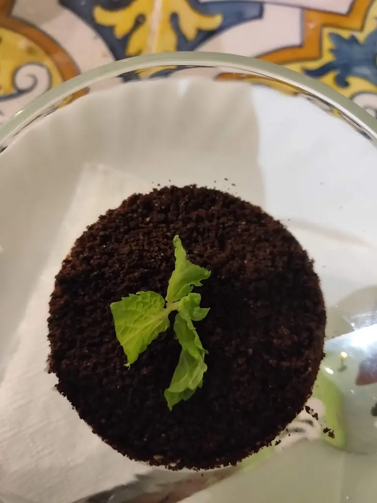 Menu_Prohibition_Santos-o-Velho_immagine_4