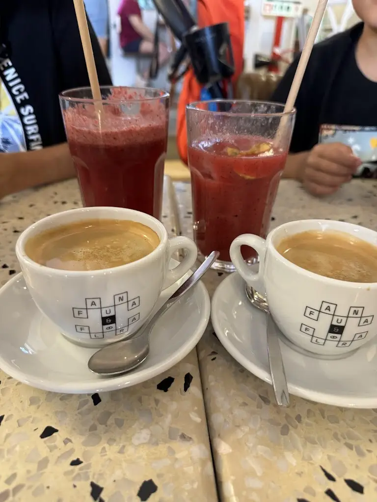 Marija Rovda_Fauna & Flora - Santos_Santos-o-Velho_review