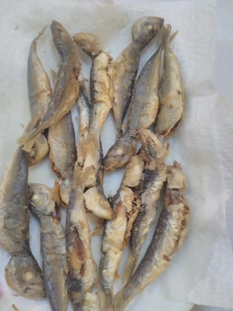 Menu_Solar dos Petiscos_São Mamede_immagine_7