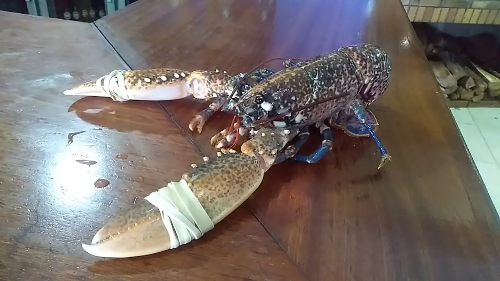 Restaurante Caravela_São Vicente_slider_image_2