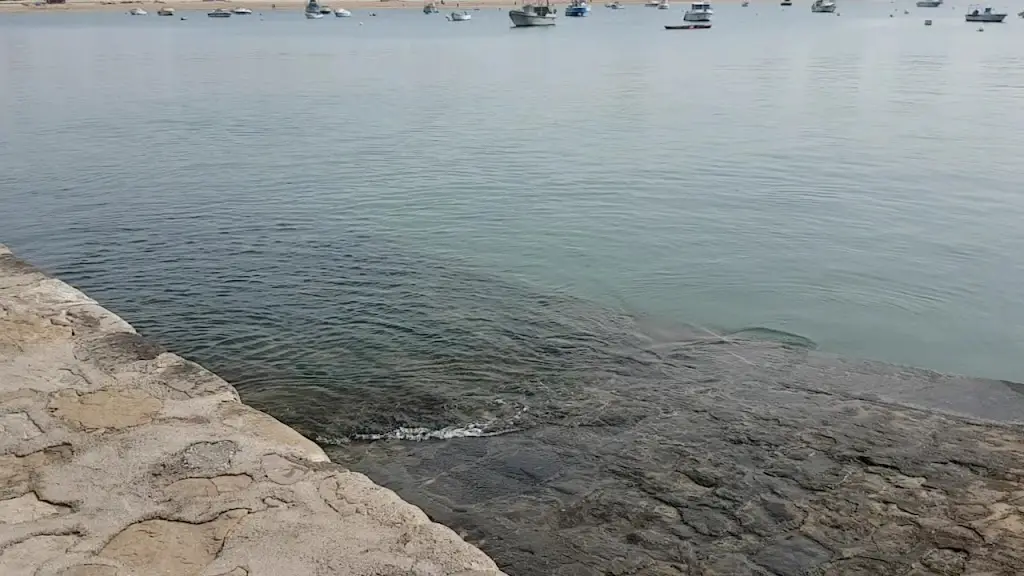 Restaurante Pesca no Prato_São Martinho_slider_image_2