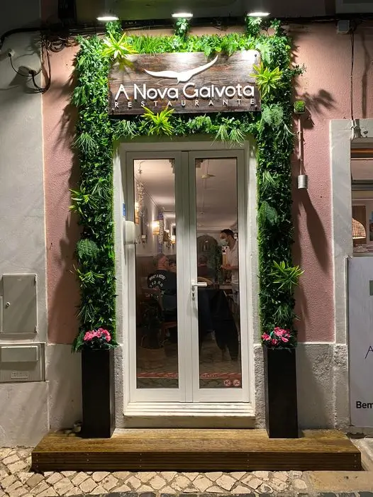 A Nova Gaivota_São Martinho_slider_image_1