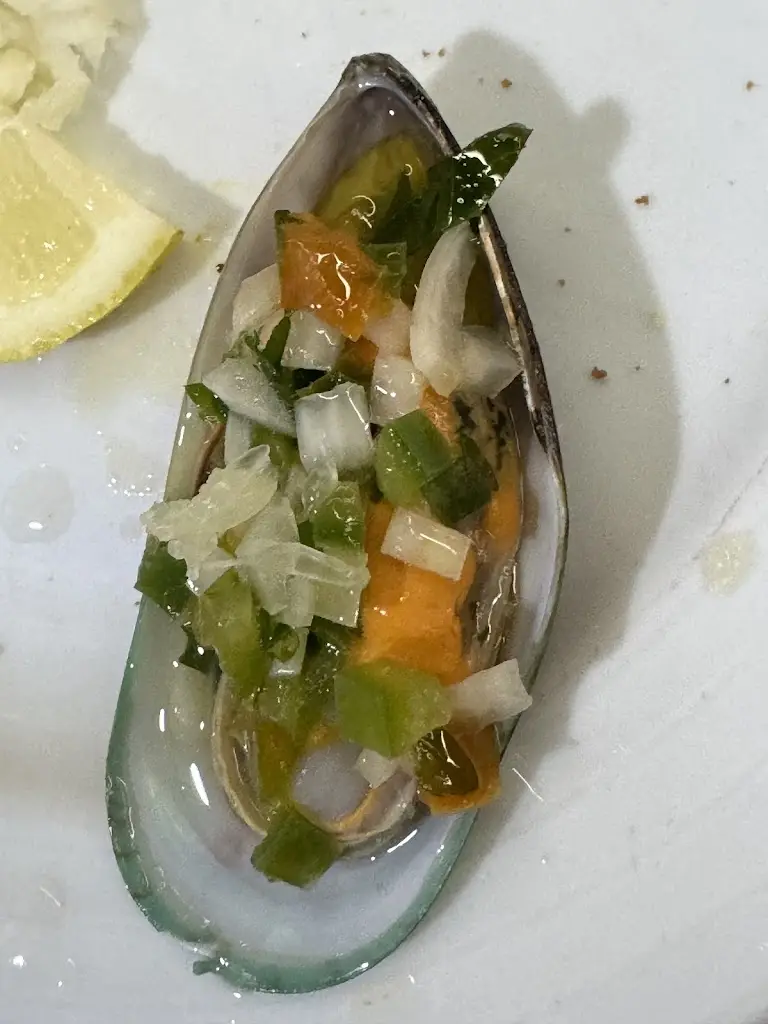 Janat S_Zagalo_Espinho_recensione