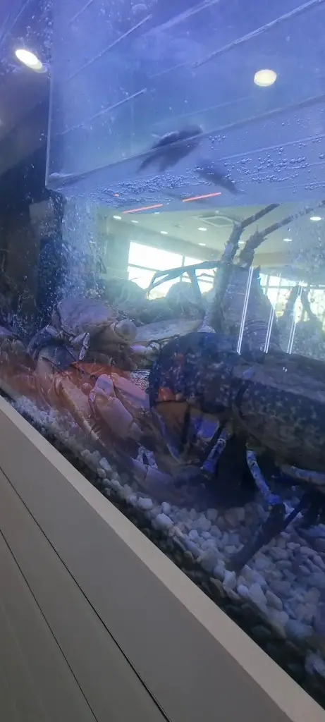 O Nosso Prego - Tires_São Domingos de Rana_slider_image_2