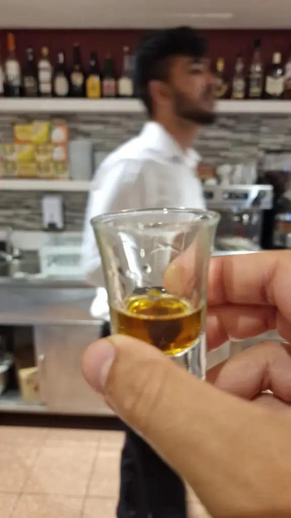 G_Dehli Darbar_São Domingos de Rana_review