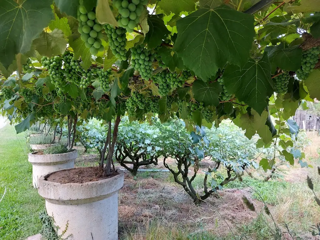 GENOMA_São Domingos de Rana_slider_image_1