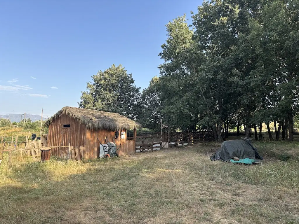 Nelu Neacsu_Chão do Rio - Turismo de Aldeia_Travancinha_recensione