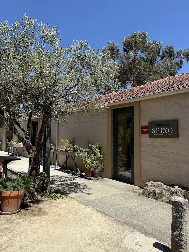 Cristi Cojocariu_Seixo by Vasco Coelho Santos_Vale do Seixo_review