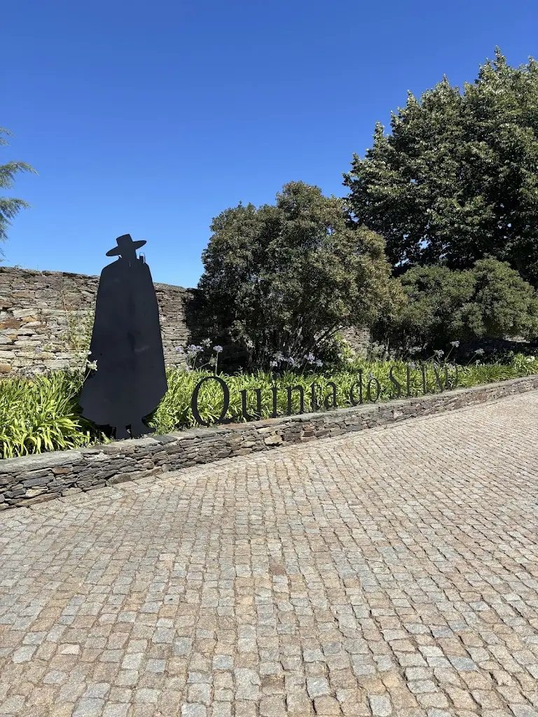 Arnout Mostert_Seixo by Vasco Coelho Santos_Vale do Seixo_review