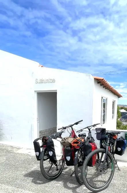 Ratna Kroneman_Sushinice_Terrugem_recensione