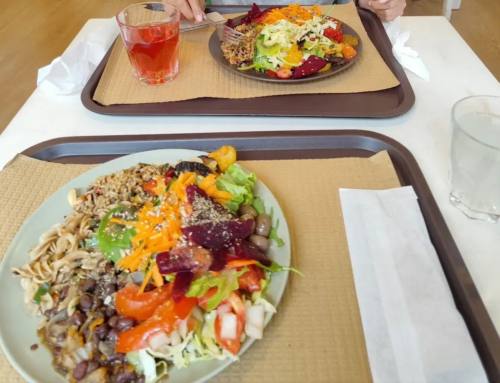 Ashishkumar Soni_Restaurante Vegetariano Terra Viva_Espinho_recensione