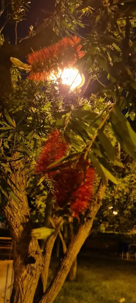 Menu_Bar Alentejano_Vila Fernando_imagen_8