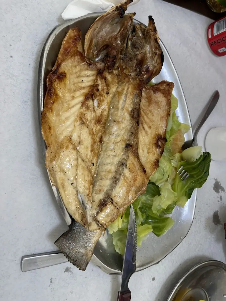 B javid_Casa Papagaio_Espinho_avis