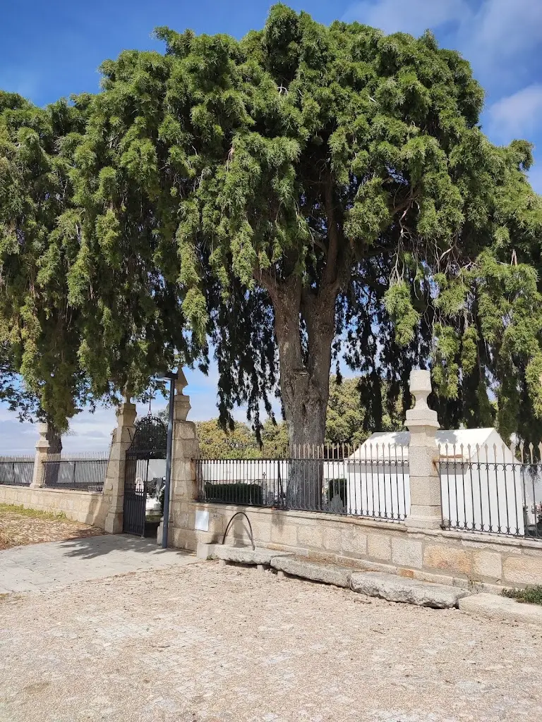 Vasco Valente_Castle of Vilar Maior_Vilar Maior_recensione