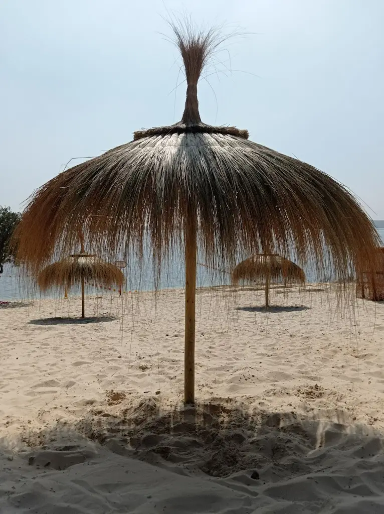 Boleta_Vila Ruiva_slider_image_3