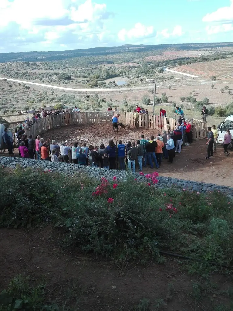 Café Candeias_Vila Ruiva_slider_image_3