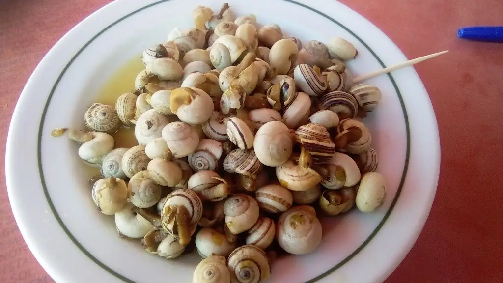 Menu_Casa Benfica Alvaiázere_Alvaiázere_immagine_3