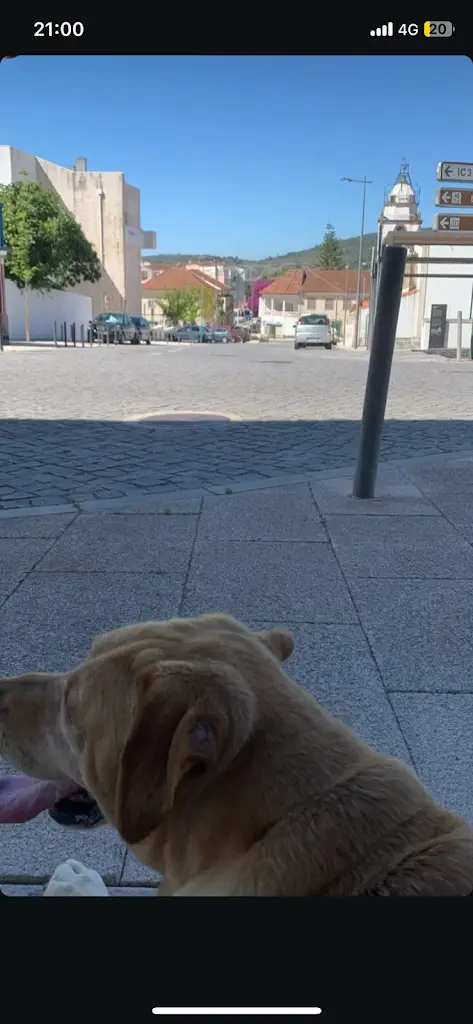 Renato Couto_Cafe Flor da Serra_Alvaiázere_recensione