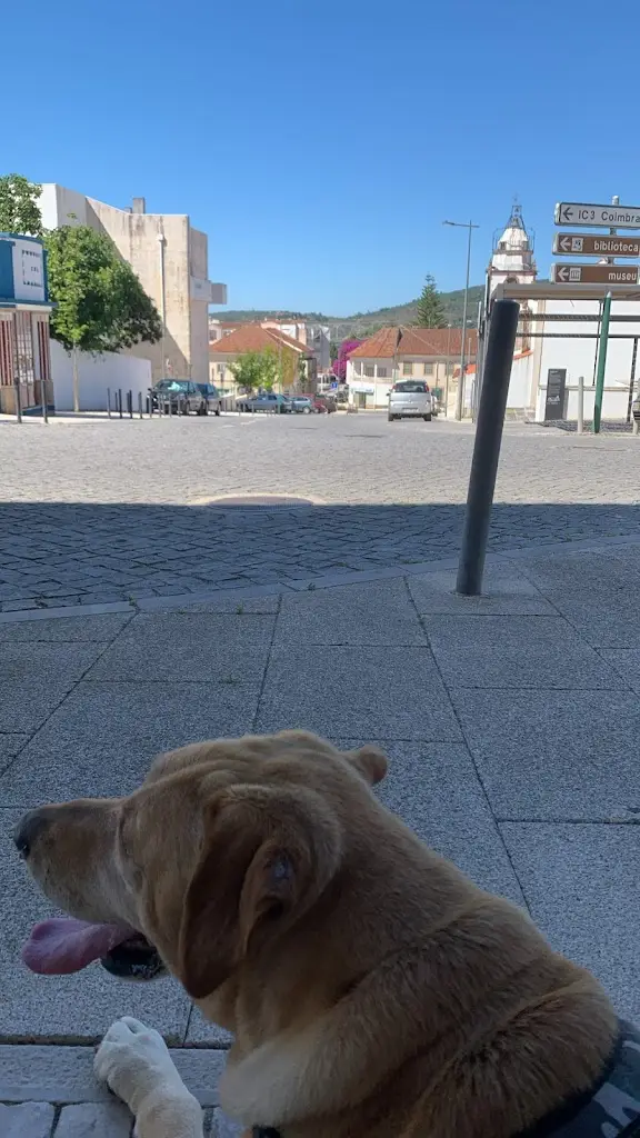 Cafe Flor da Serra_Alvaiázere_slider_image_3