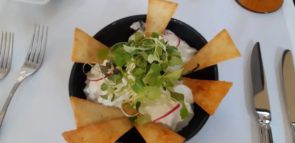 Nitzhiya Levi_Lisbonense_Caldas da Rainha_recensione