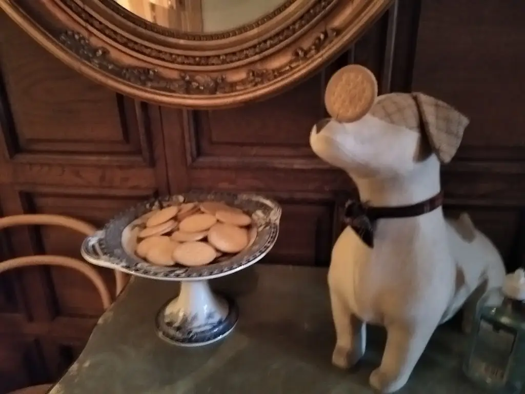 Menu_Sol é Vida_Atouguia da Baleia_immagine_9