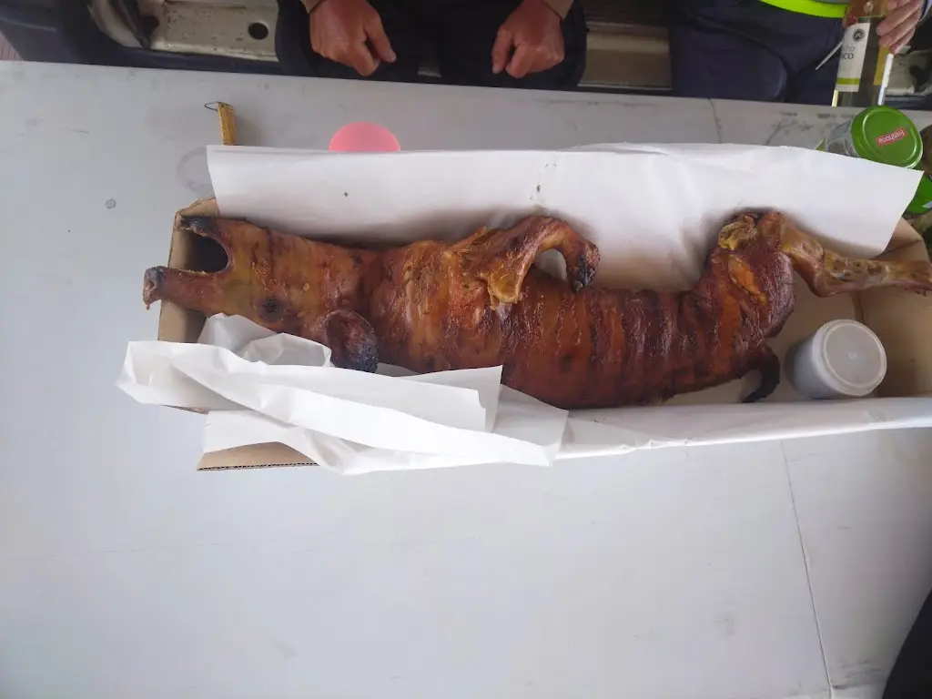 Roberto Diegues_Ansileitões_Ansião_recensione