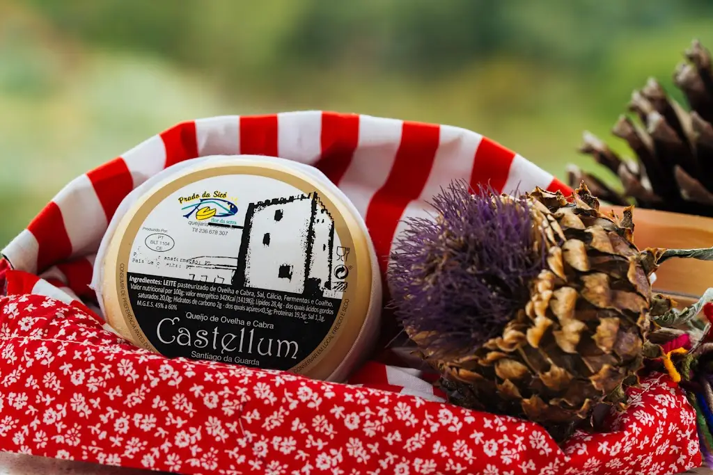 Menu_Queijaria Prado da Sicó, LDA_Ansião_immagine_9