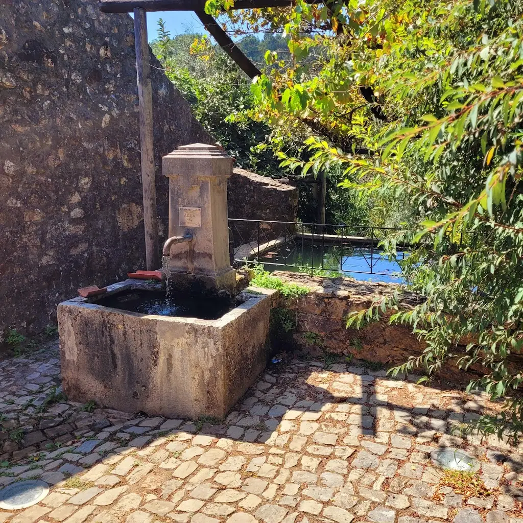 Chris_Restaurante Varanda do Casal_Ansião_review