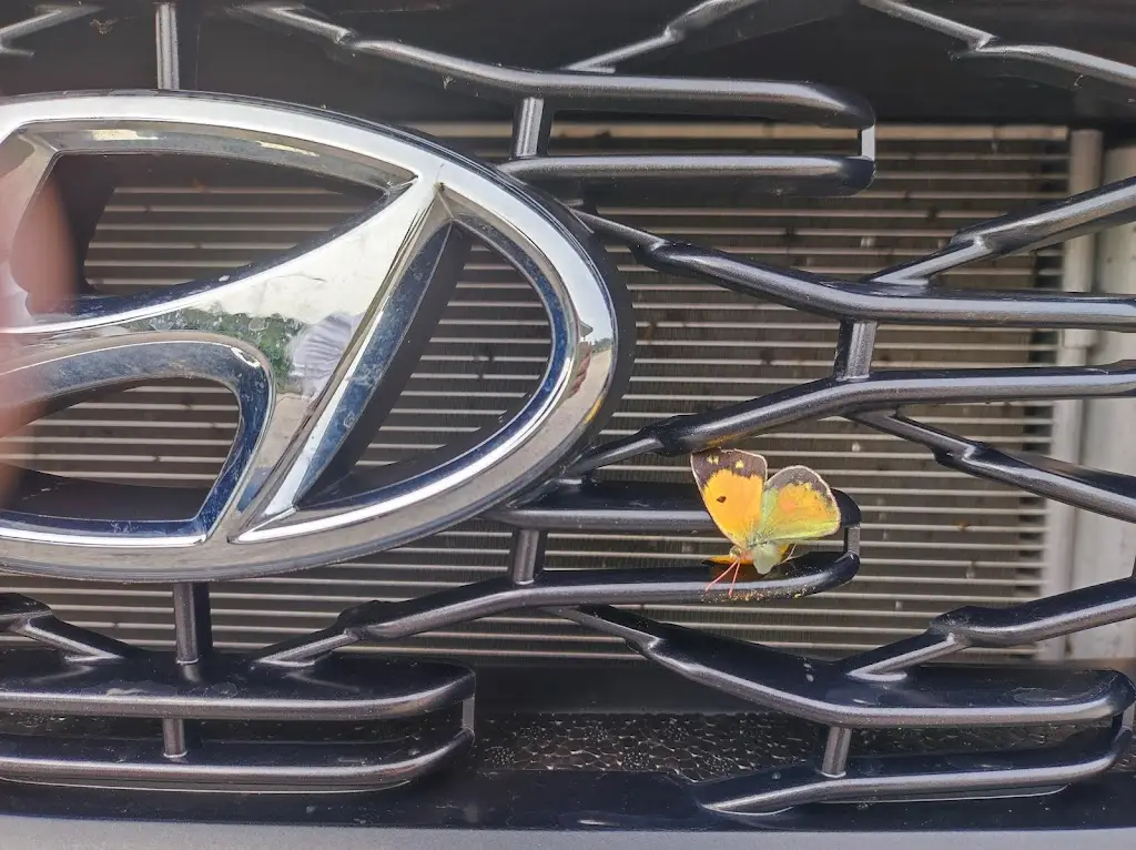 Snack-Bar Área de Serviço ristorante a Ansião