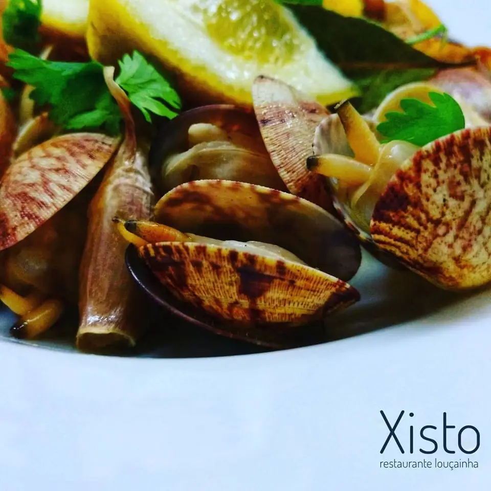 Xisto_Castanheira de Pêra_slider_image_2