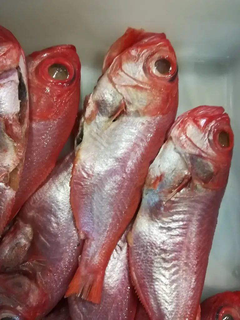 Menu_O Caçador_Aljubarrota_immagine_1