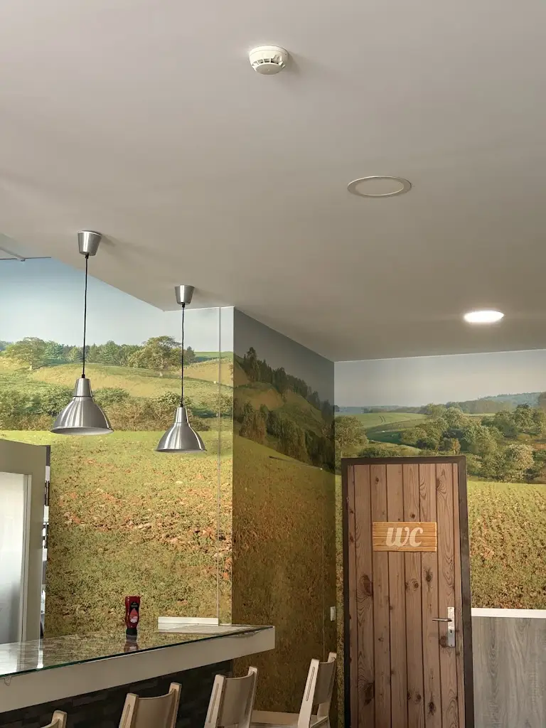 Victor Gomes (Victor Martins Gomes)_Franguinho Na Serra_Santa Catarina da Serra_review