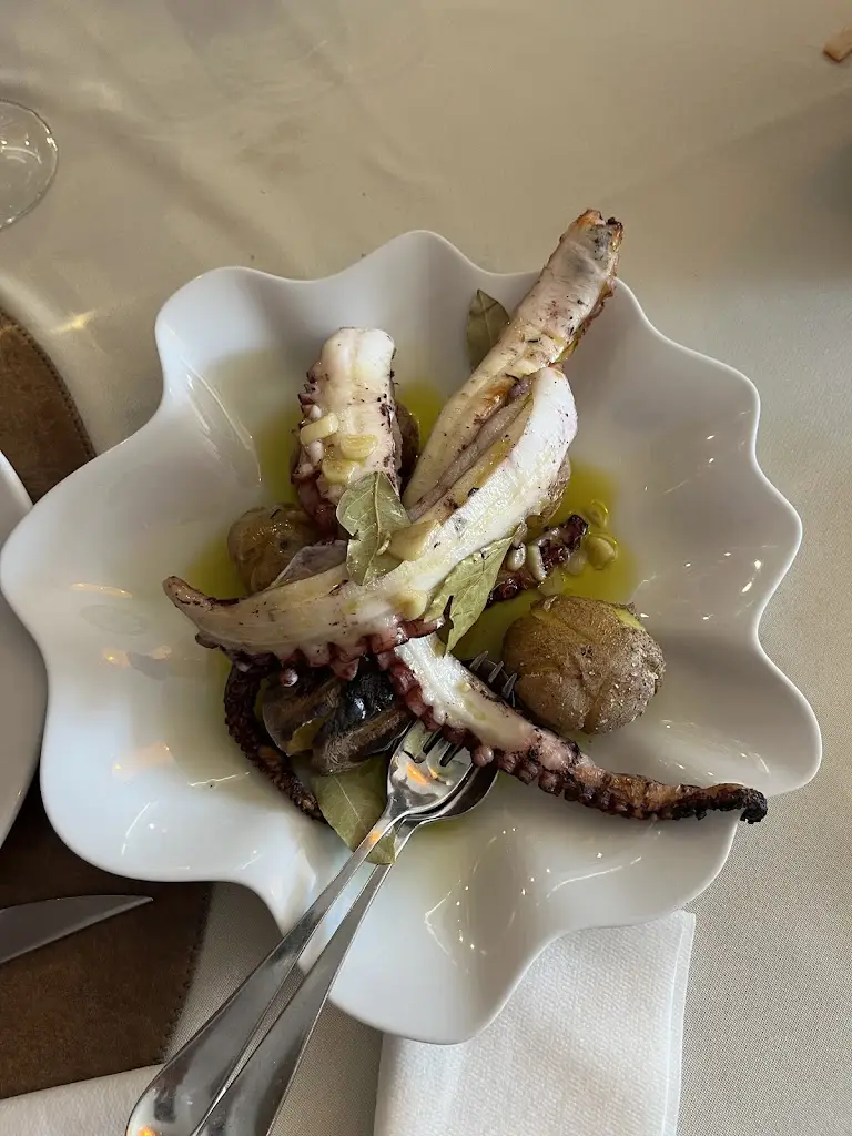 Joel Barwick_O Navegante_Ílhavo_review