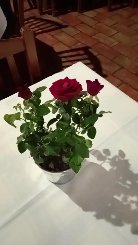 Lagar do Avô_Souto da Carpalhosa_slider_image_2