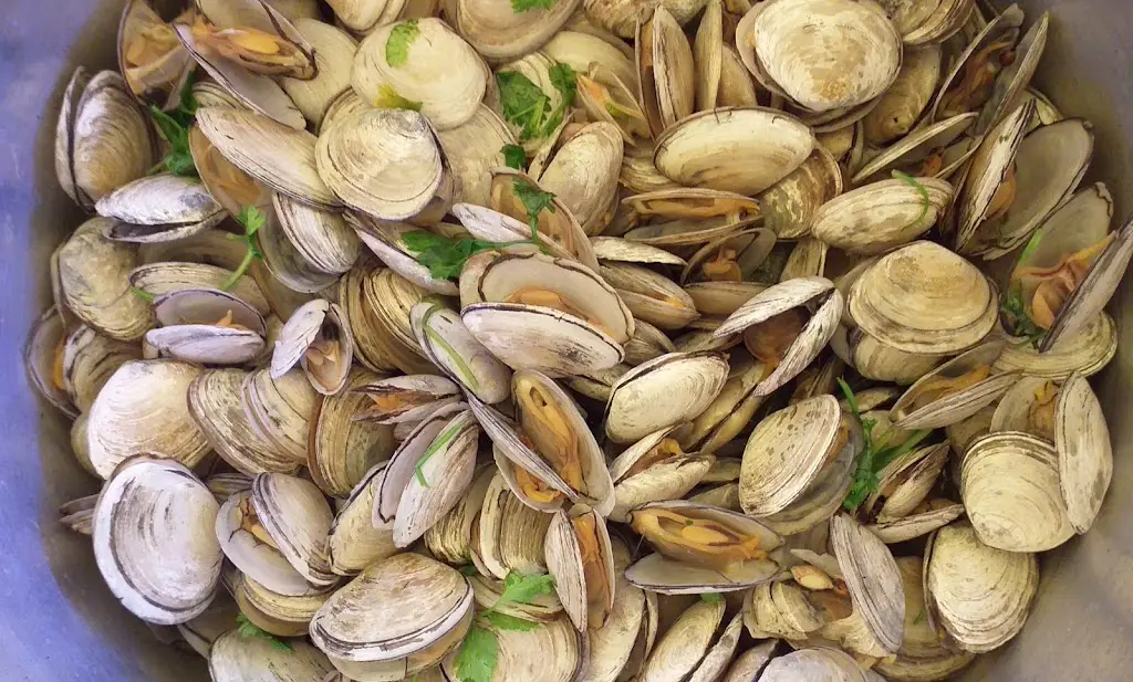 Menu_O Marujo_Alhandra_immagine_4