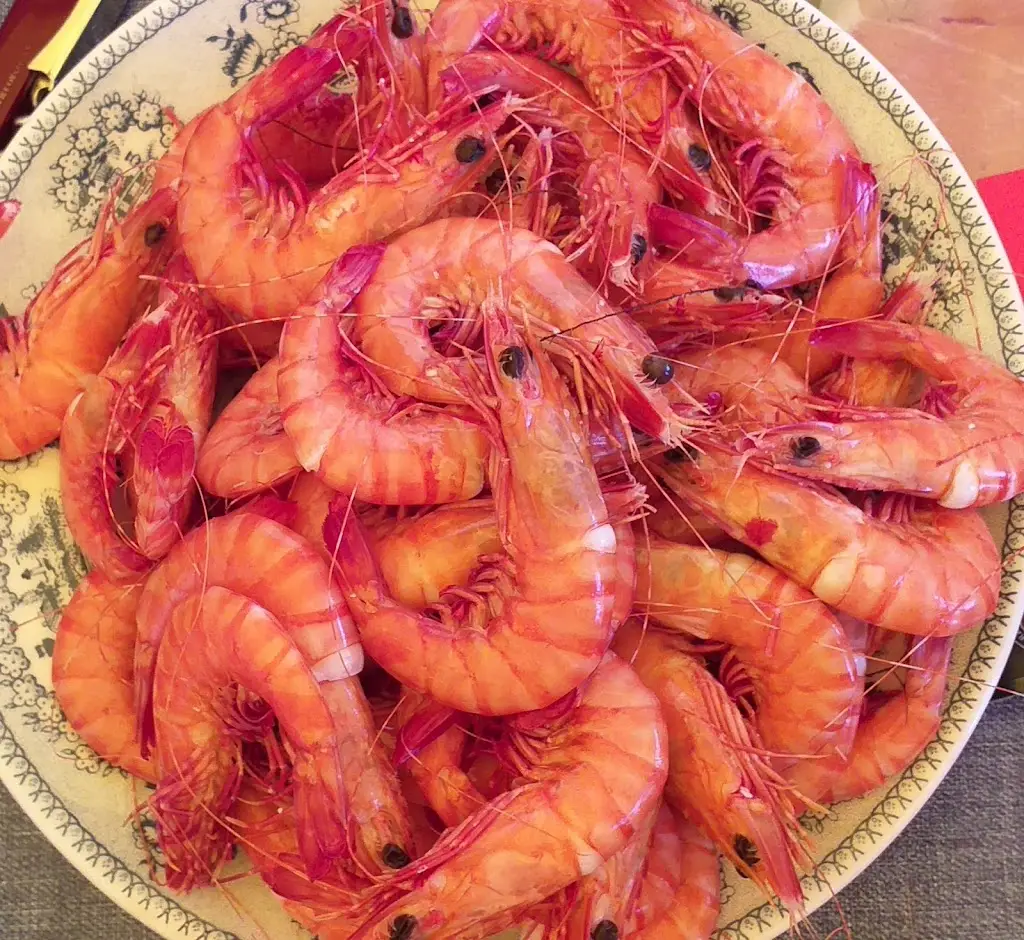 Menu_O Marujo_Alhandra_immagine_6