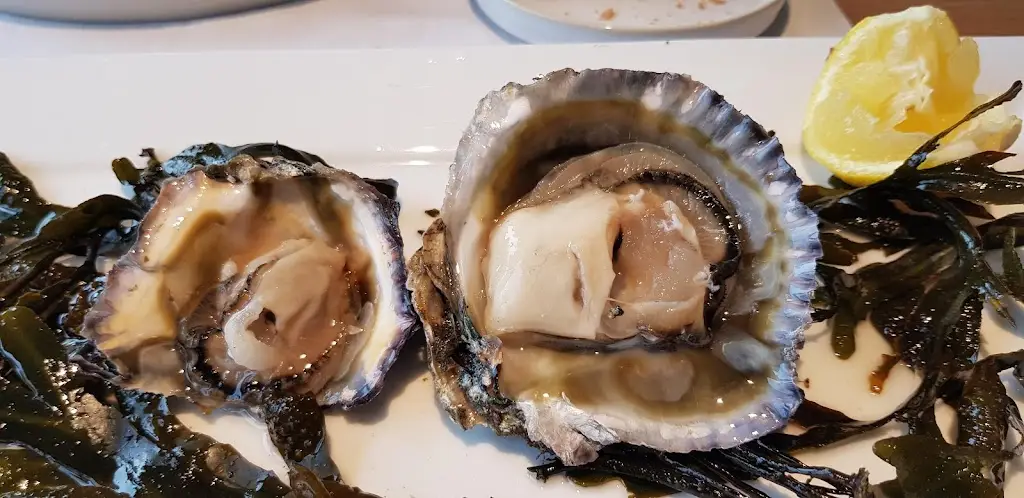 Menu_The Imperor_Algueirão_immagine_7