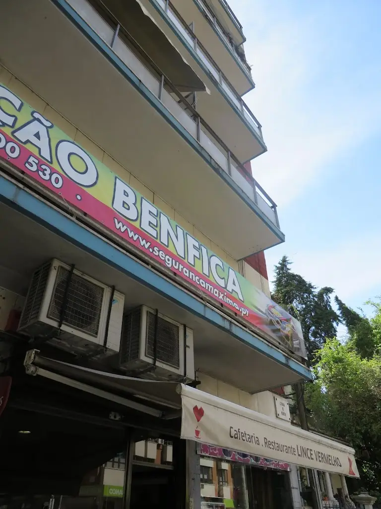 Lince Vermelho_Benfica_slider_image_1