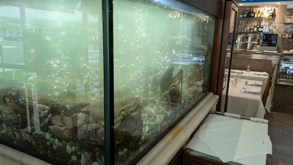 Bit Rory_Atlântico_Carcavelos_reseña