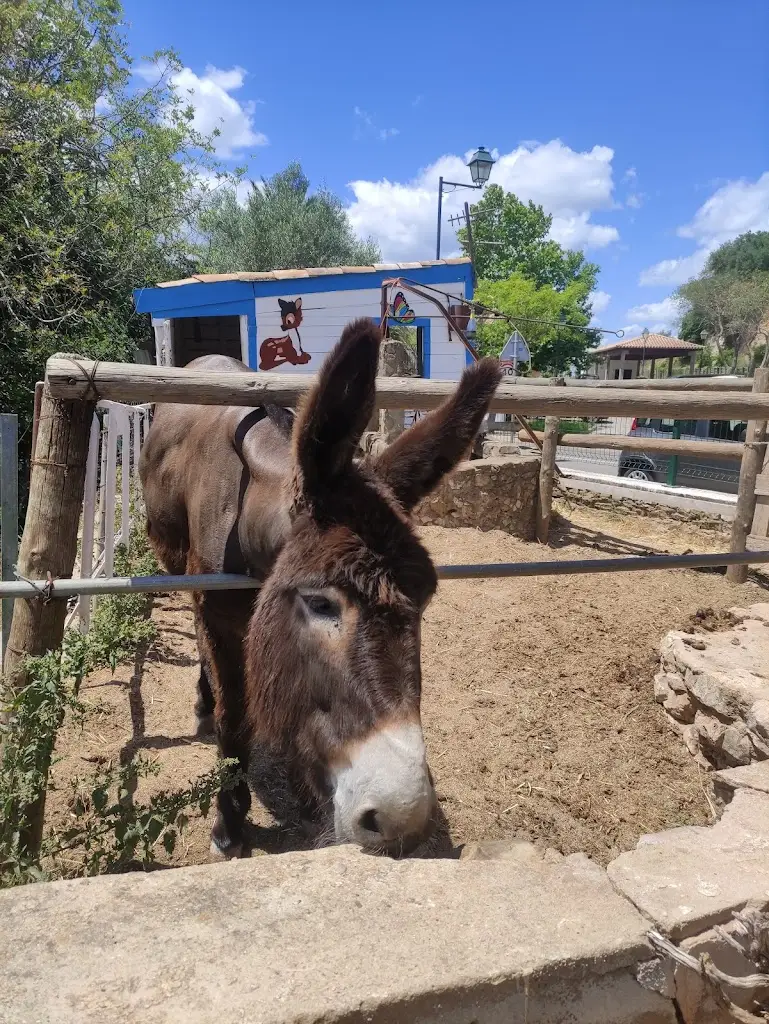 O Folclore_Ota_slider_image_3