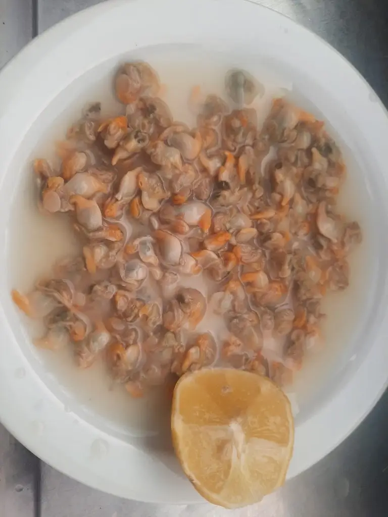 Menu_Taskinha dos Sabores_Famões_immagine_6