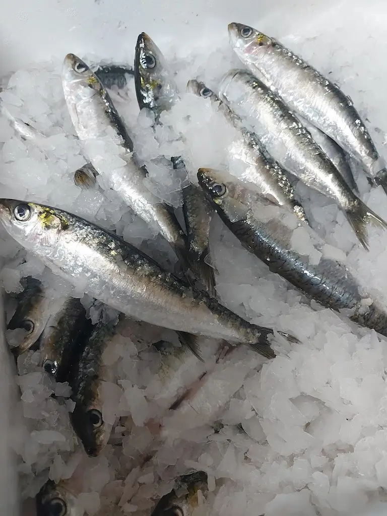 Menu_Taverna Da Tascoa_Massamá_immagine_9