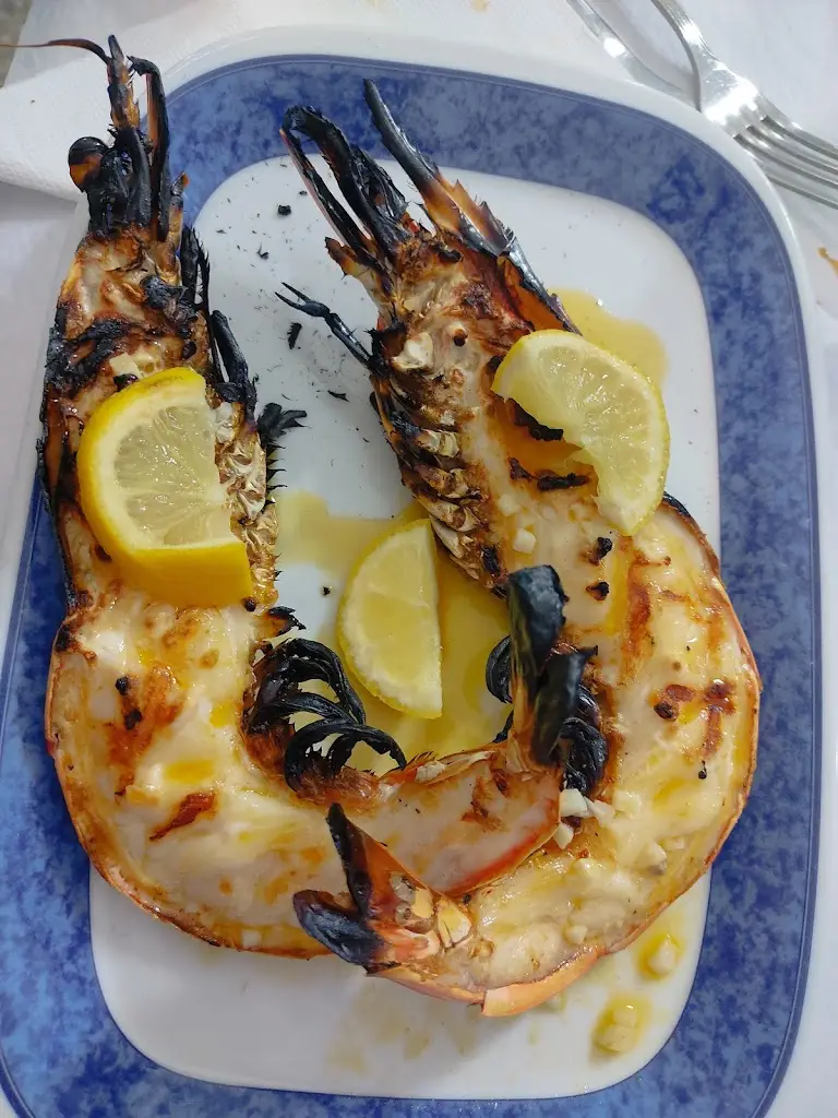 Menu_SOLEMAR - COELHO_Vieira de Leiria_image_8