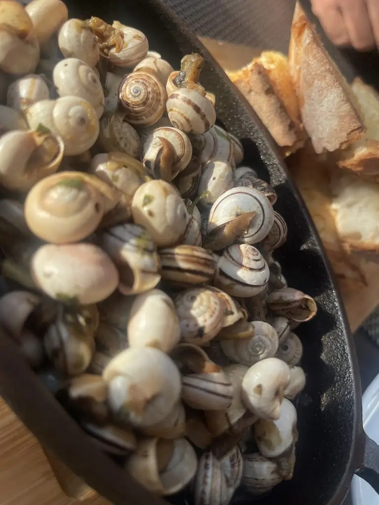 Georgina G_SUN7 Esplanada_Vieira de Leiria_Bewertung