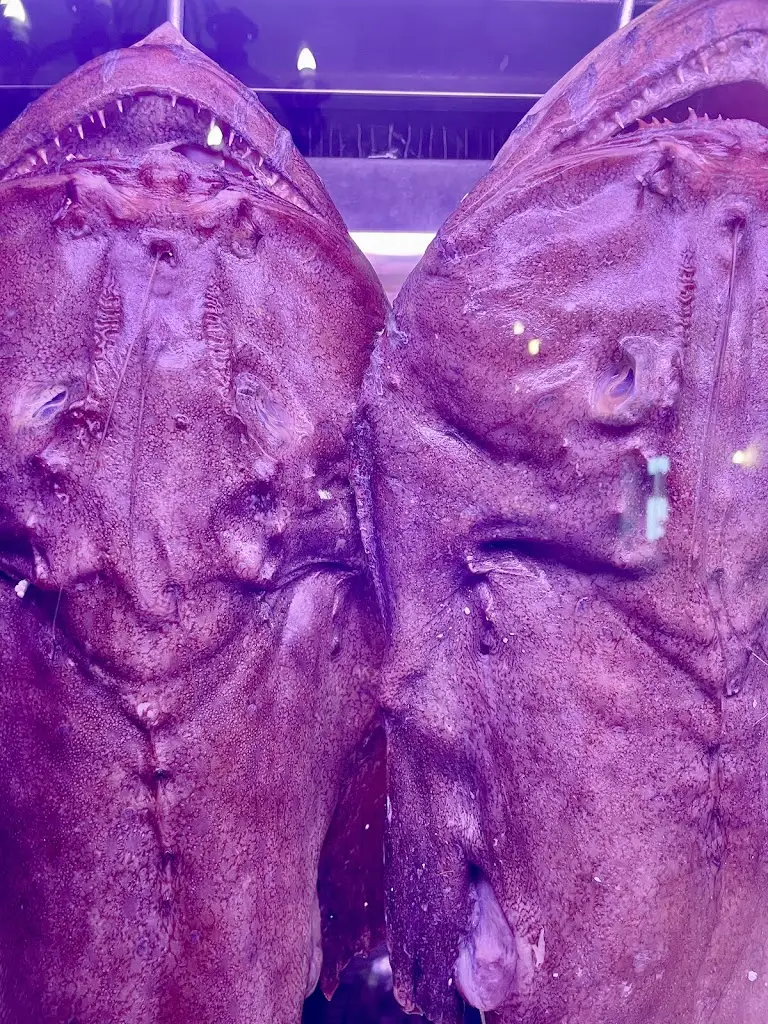 Jesper Carvalho Andersen_O Palermice_Caneças_review