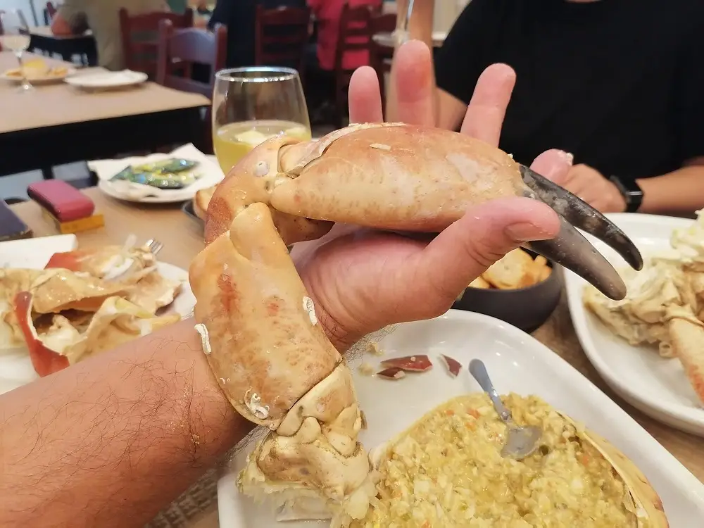 Virgínia Rebocho_O Leandro_Caneças_recensione