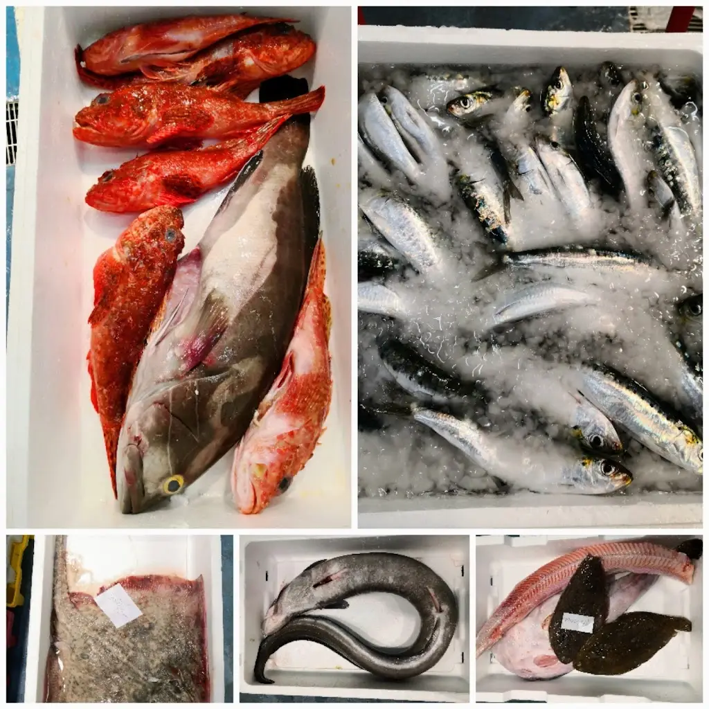 Menu_Restaurante O Feliciano_São João da Talha_image_5