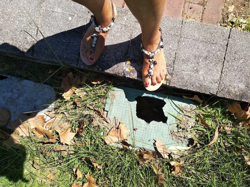 costaritatj@gmail.com Costa_O Parque_Unhos_review