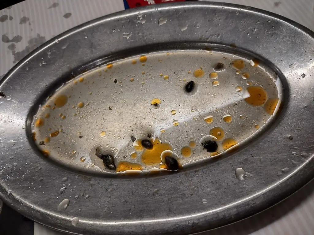 Menu_Rui dos Pregos - Sacavém_Sacavém_immagine_9