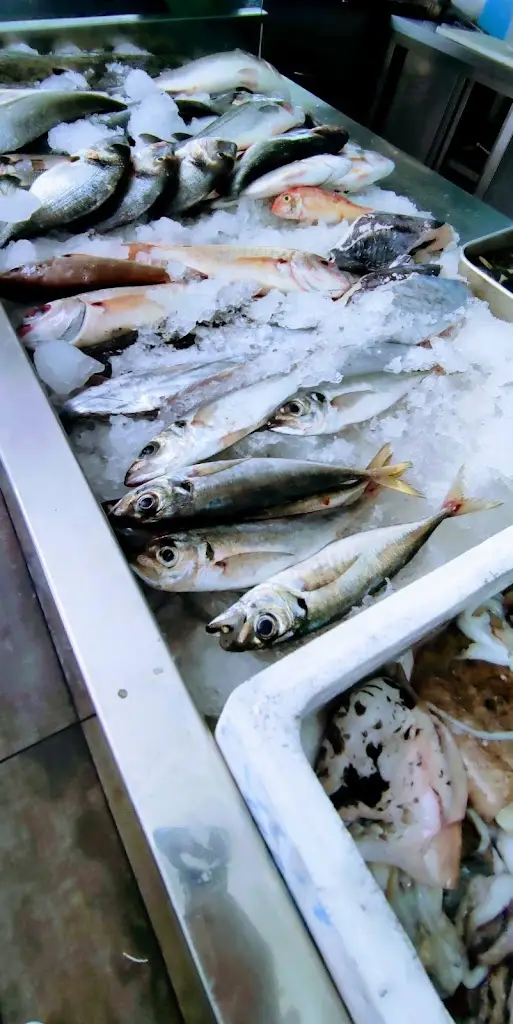 Menu_Restaurante do António_Sacavém_image_1